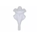 Foxline koponya nagy orral